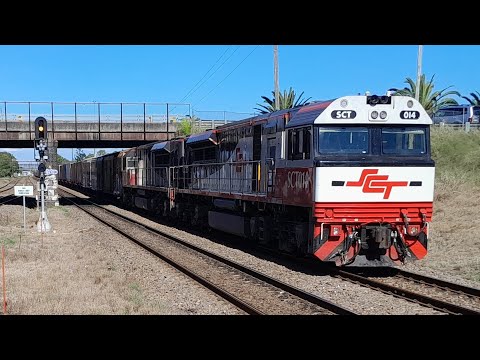 SCT Logistics Trough Waratah