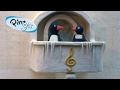 Pingu Pingu S Parents At A Concert