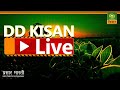 DD Kisan Live 24 X 7