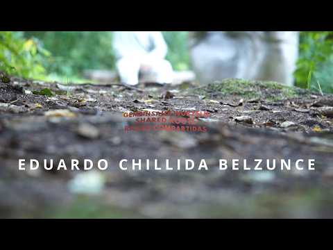 Chillida Belzunce · Raíces Compartidas