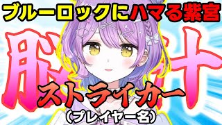 【APEX】ブルーロックにハマる紫宮るな【紫宮るな / 秋雪こはく / ハセシン / ぶいすぽ / 切り抜き】