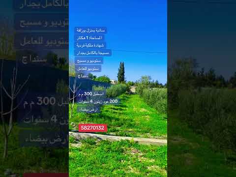 Ferme à vendre à Menzel Bouzelfa – 1 hectare – Titre individuel
