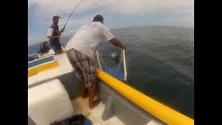preview picture of video 'Yellowfin Tuna Culture Part 1 - Broodstock Capture'