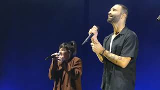 Que Veux-tu Que Je Te Dise ? Lyrics English Translation