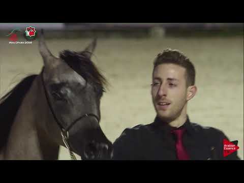 N 80 LUBNA AL FIRAS   UAE Nationals 2019