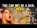 Finnish Girl Reacts To World S Most Dangerous Rodeo Bull Bodacious