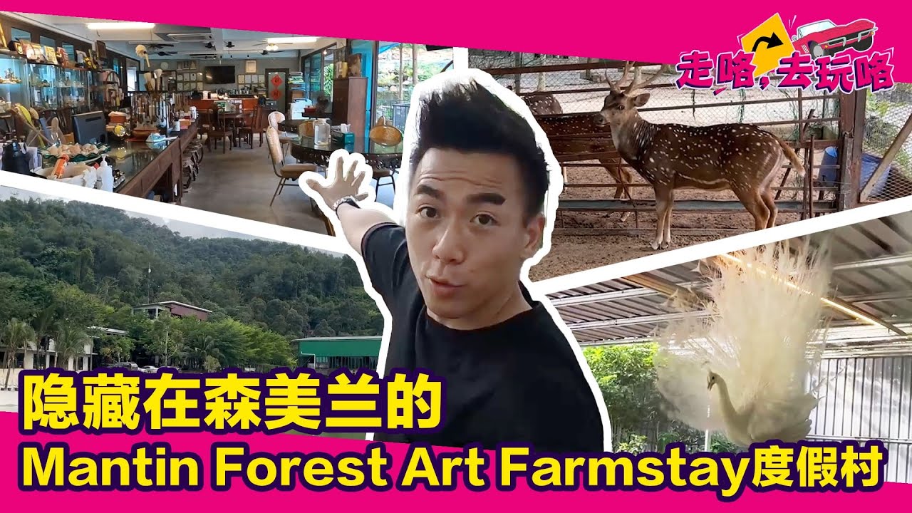 隐藏在森美兰的Mantin Forest Art Farmstay度假村｜走咯，去玩咯🔥世外桃源｜亲近大自然远离城市的喧嚣！