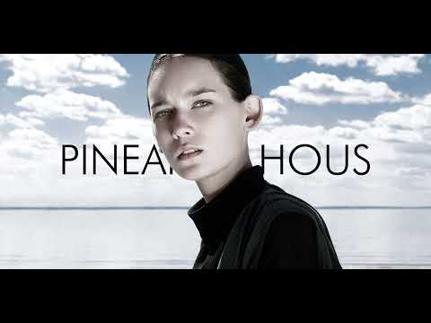 Katnip  - Summer State Of Mind