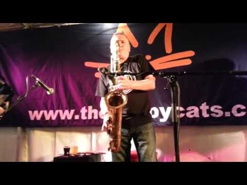 The Happy Cats - Run For Home