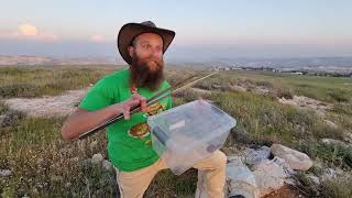 שחרור נחש צפע @Myochoplus