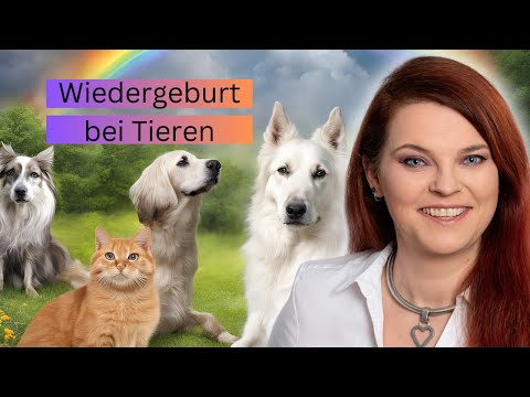 Reinkarnation bei Tieren
