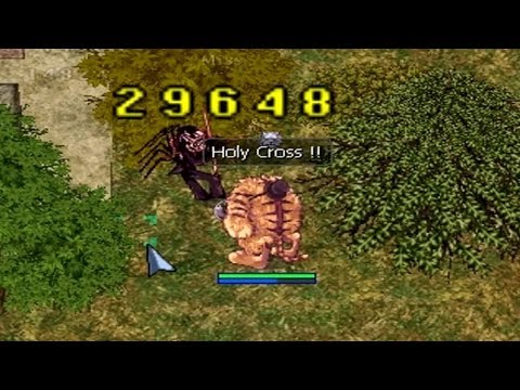 #RagnarokOnline Crusader Holy Cross Skill Test Odin Temple F2