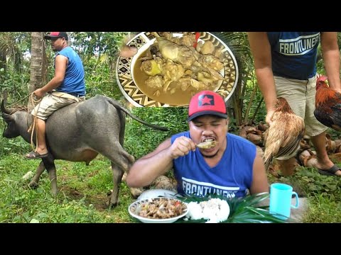 Native chicken(catch and cook)