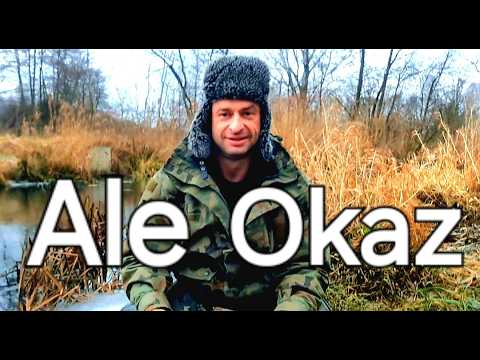 The Biggest Fish This Year