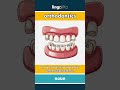 orthodontics - the part of dentistry that... video thumbnail