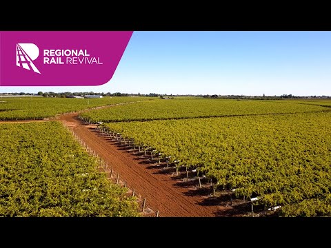 How Merbein grapes travel around the world via the Murray Basin freight network