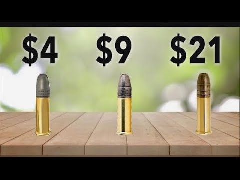 Budget vs Expensive .22 Ammo . Rim-X