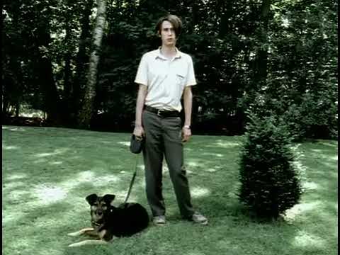 Dieses Jahr - Tocotronic