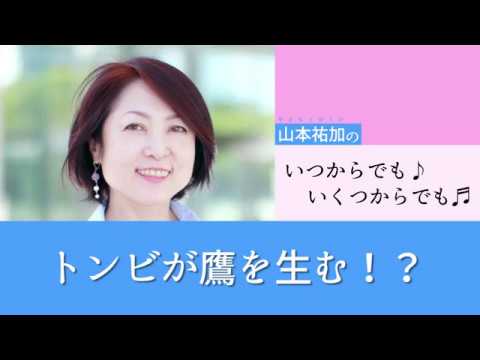 トンビが鷹を生む！？