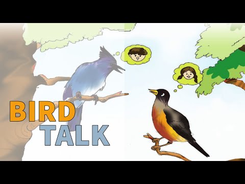 download lagu mp3 mp4 Bird Talk Class 3, download lagu Bird Talk Class 3 gratis, unduh video klip Bird Talk Class 3