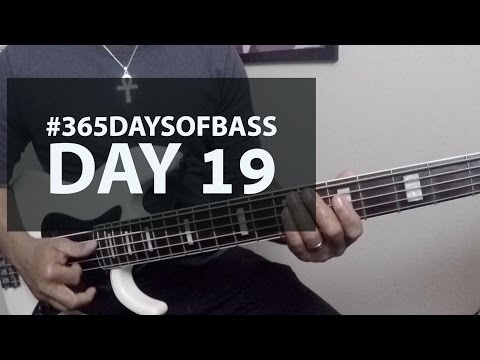 #365daysofbass Day 19 | Oh Sheila!