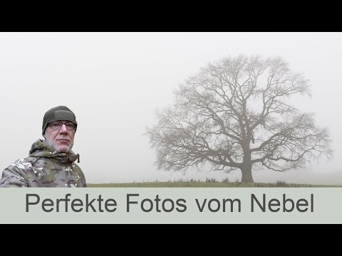 Abenteuer Naturfotografie - Perfekte Fotos vom Nebel