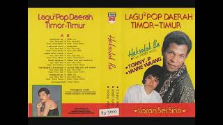 Download lagu Musica NOSTALGIA 80an   TONNY PEREIRA mp3