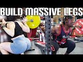 The Perfect Leg Workout To Build Big Strong Legs | My Top Tips