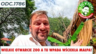 Wielkie otwarcie ZOO a tu wpada wściekła małpa! Szalony dzień! Odc.1786