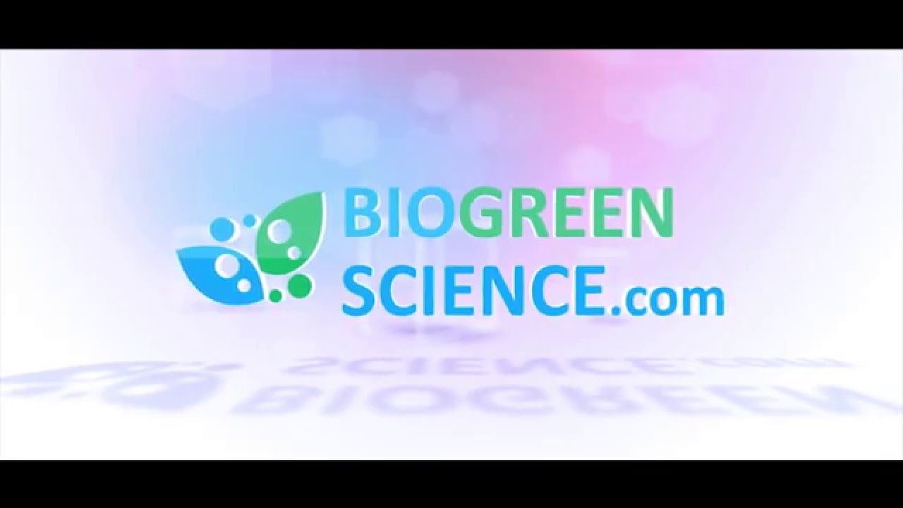 How to check the amount of BV for Auto-Upgrade