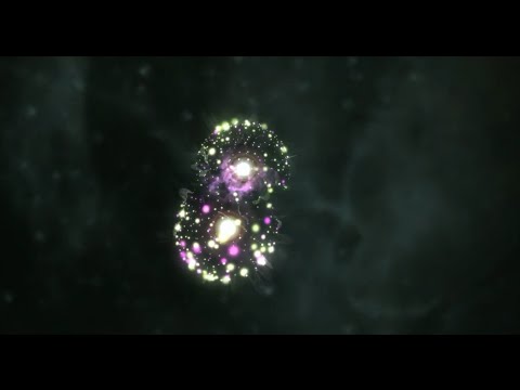 Paramore - "The Only Exception" (Slo-Mo Remix)