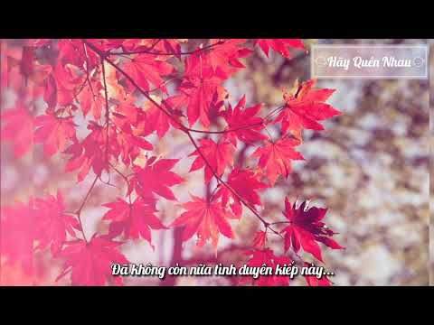 Hãy Quên Nhau (Lyrics) - Huỳnh Ngọc Hậu