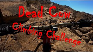 Dead Cow Climbing Challenge.