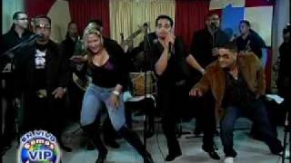 El Macho Lyrics English Translation