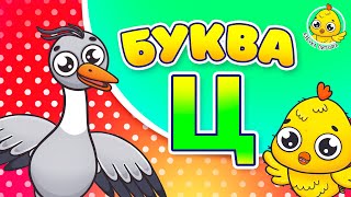 ПИТЯФ И БУКВА Ц ♫ АЗБУКА ПИТЯФА ДЛЯ МАЛЫШЕЙ И ДЕТЕЙ ☺ ЗВЕРЯТА - РЕБЯТАМ ПРО БУКВЫ МУЛЬТиВАРИК ТВ 0+