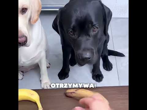 Niesprawiedliwość zamieniona w dobro ❤️