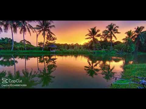 Kitimbok tinggur bulawan-@sakril sidik dusun song remake