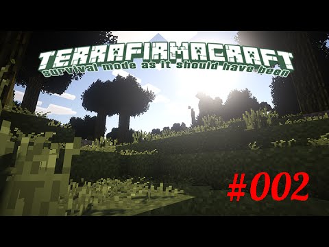 TerraFirmaCraft #002 - Erste nacht überlebt [German]