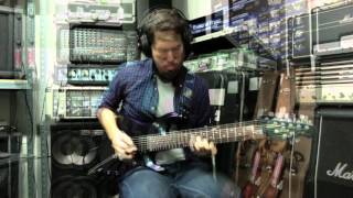 Haken - Celestial Elixir cover by Nach Willrise