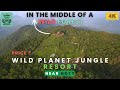 Wild Planet Jungle Resort A Nature Lover S Paradise Devala Nilgiri Near Ooty Best Resort