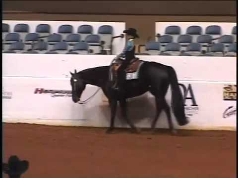 ODE TO ZIPPO  WESTERN PLEASURE