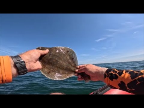 Mit Flunder Wunder und Eigenbau-System auf Plattfische, TEIL 1