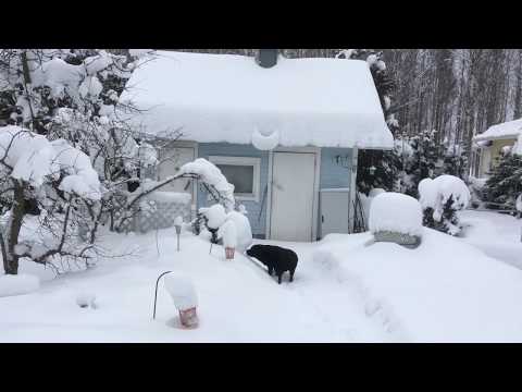 2019-02 mukavasti on lunta tuprutellut