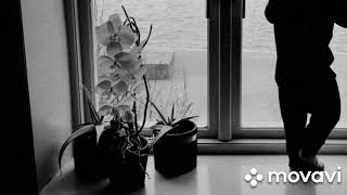 Hus av glas - Expander (Page cover)