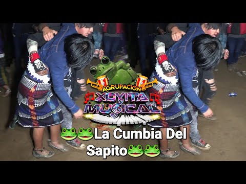 La cumbia del sapito estilo único xoyita musical 2,022
