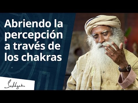 download lagu mp3 mp4 Chacras Del Cuerpo Humano Como Abrirlos, download mp3 Chacras Del Cuerpo Humano Como Abrirlos free download mp3, download mp3 Chacras Del Cuerpo Humano Como Abrirlos