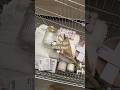 Vanilla Girl Ikea Haul ️