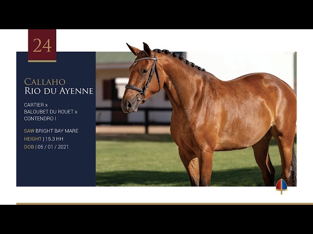 Callaho Rio du Ayenne