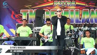 Download lagu NEXT LIVE- PUTRI - saleem iklim- cover @Jasmenggo mp3