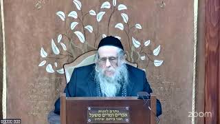 הרה"ג הרב וועכטר שליט"א ט"ז שבט תשפ"ה - מאמר הרבי הריי"צ ד"ה בלילה ההוא נדדה שנת המלך (הרב אברהם מנחם מענדל וכטר) - התמונה מוצגת ישירות מתוך אתר האינטרנט יוטיוב. זכויות היוצרים בתמונה שייכות ליוצרה. קישור קרדיט למקור התוכן נמצא בתוך דף הסרטון